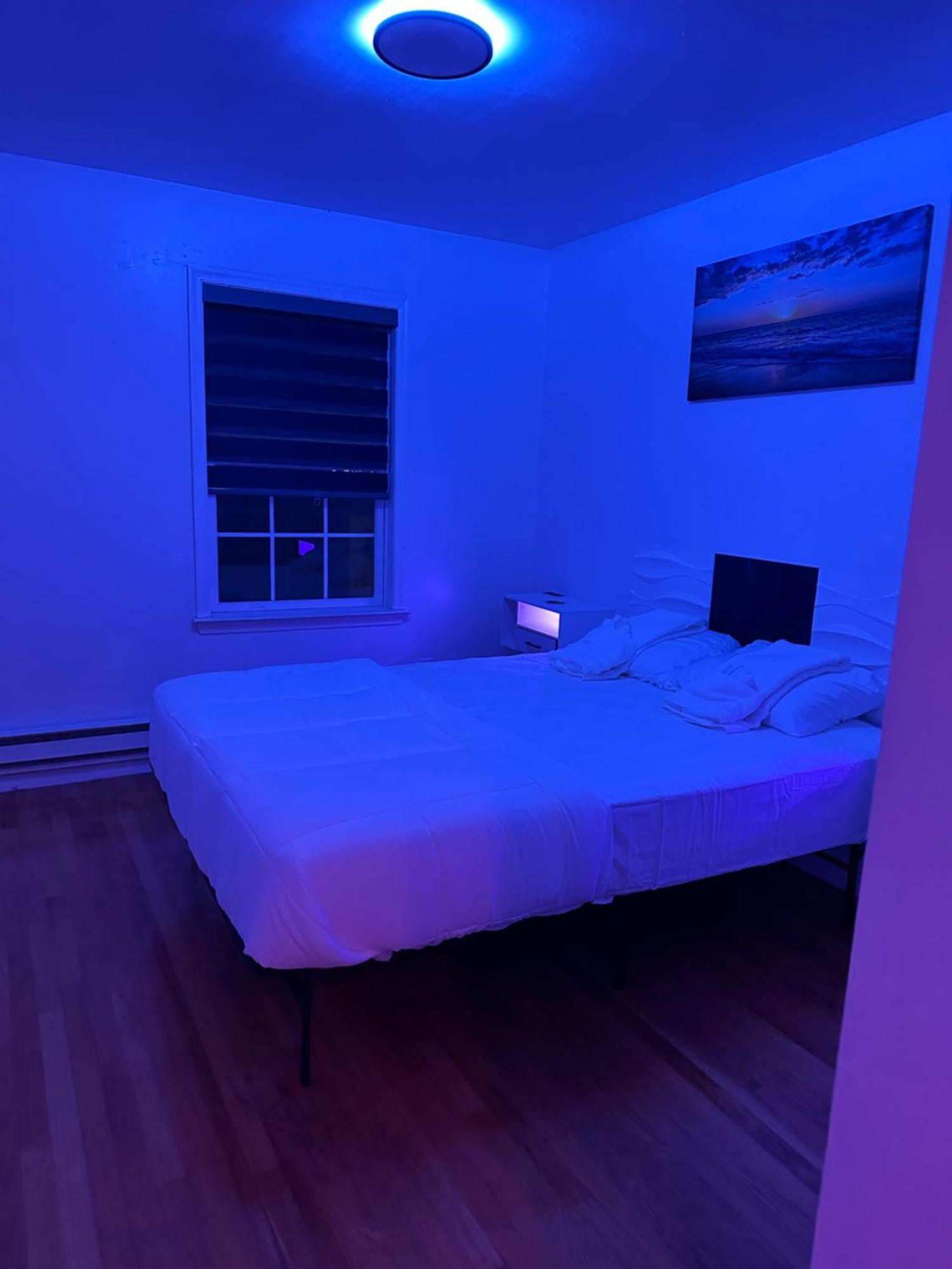 Apartment Pipo's Perfect Place