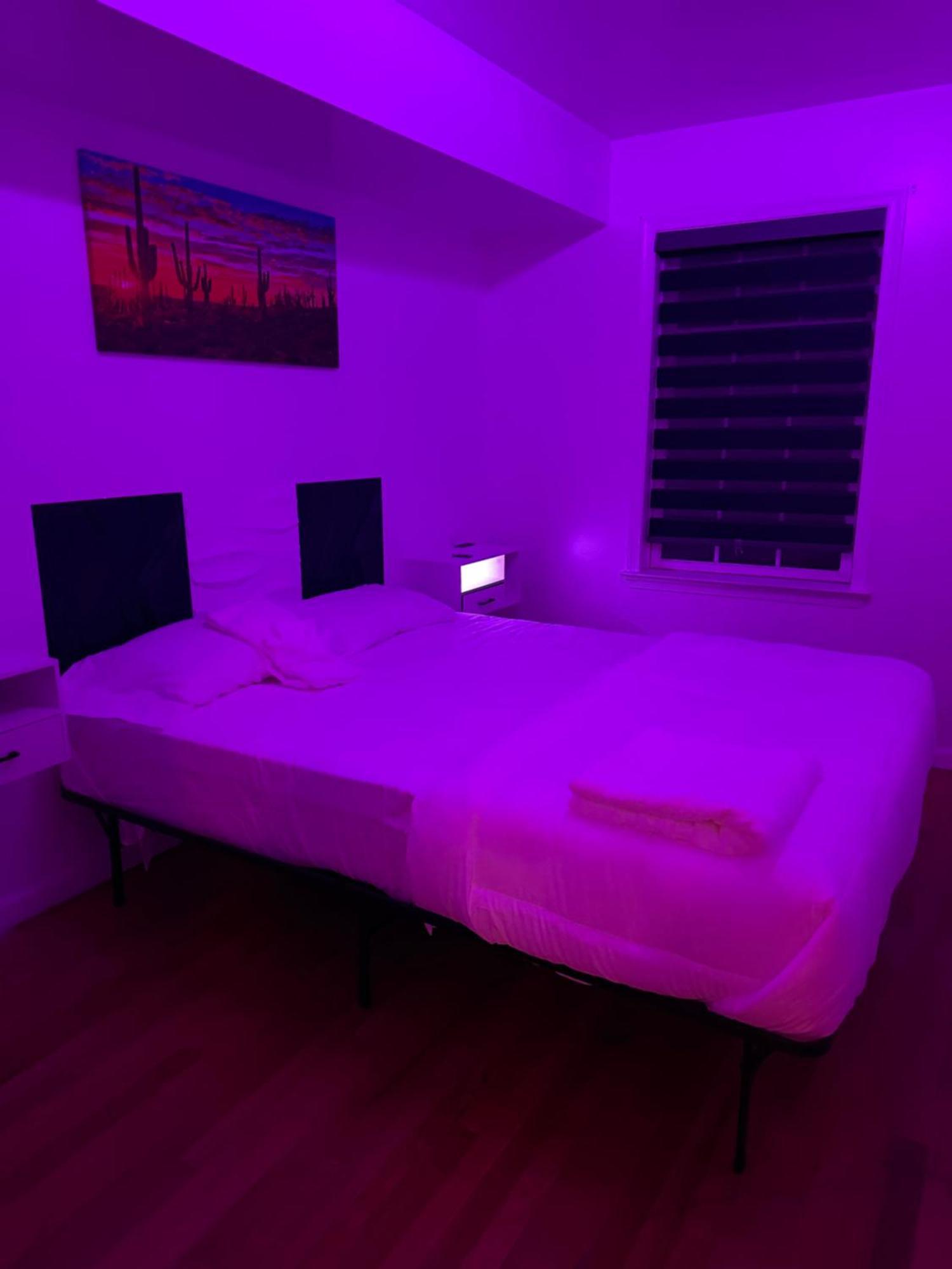 Apartment Pipo's Perfect Place *